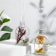 Perfume Diffuser 200 ml